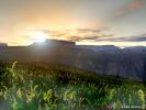 3d scene 146