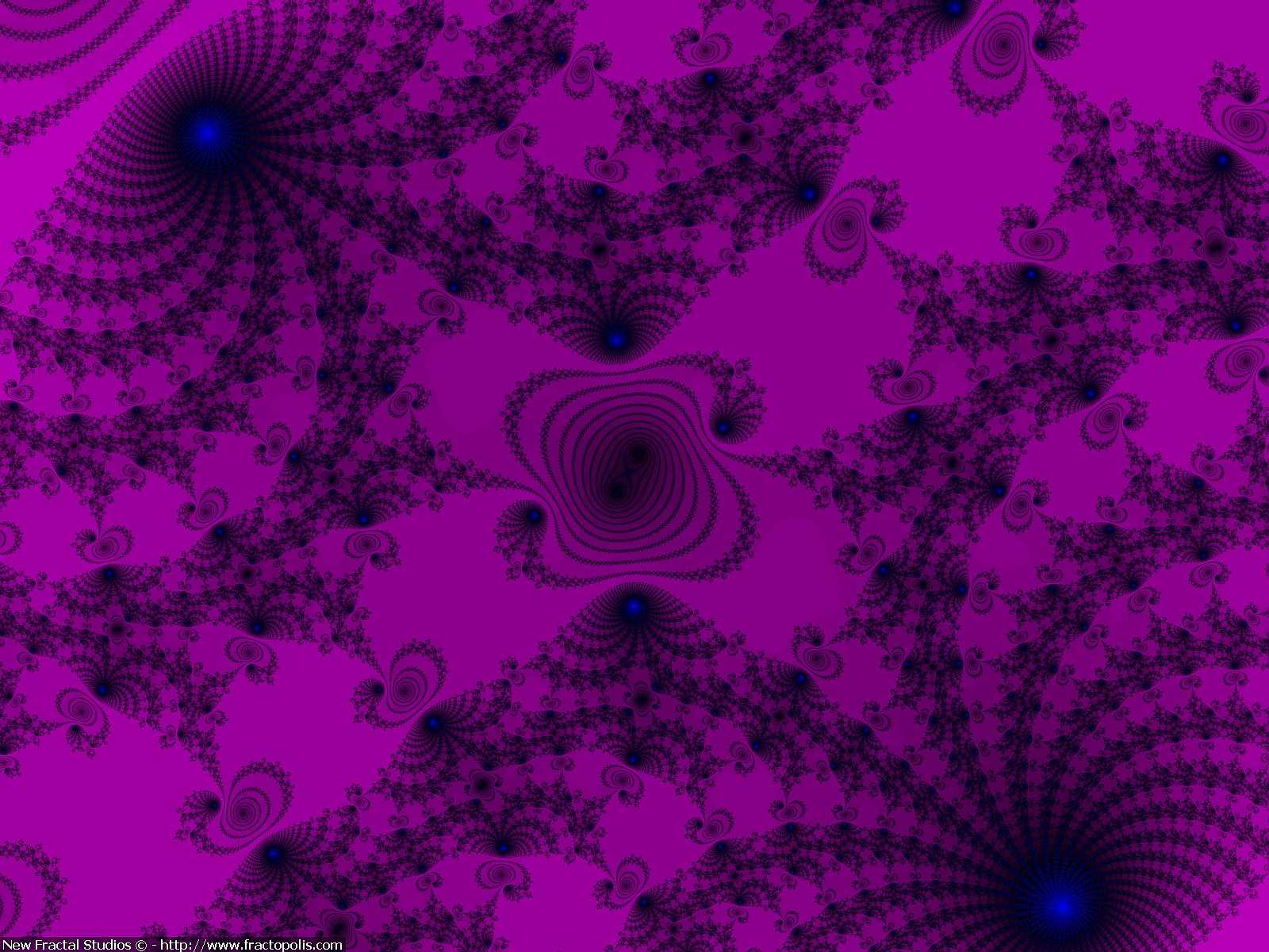 Fractal 139