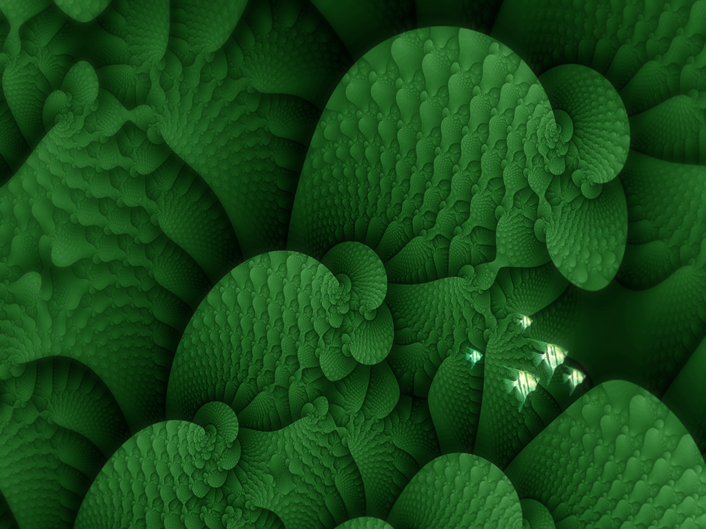Fractal 22