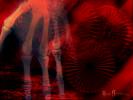 Miscellaneous 310