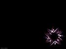 Miscellaneous 341