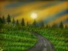 Miscellaneous 421