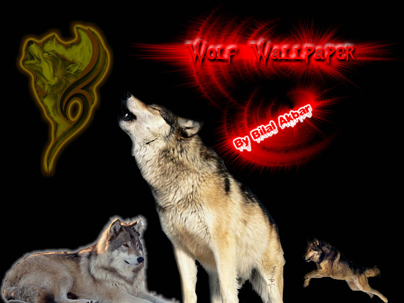 hiphop wallpaper. wallpapers wolf; wallpapers wolf. mrgreen4242. Sep 12, 08:43 AM hiphop wallpaper. hiphop wallpaper. wallpapers wolf; wallpapers wolf. mrgreen4242. Sep 12, 08:43 AM