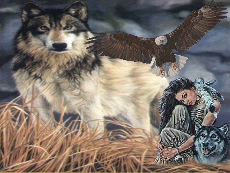 wolf wallpaper. Wolf wallpaper 7
