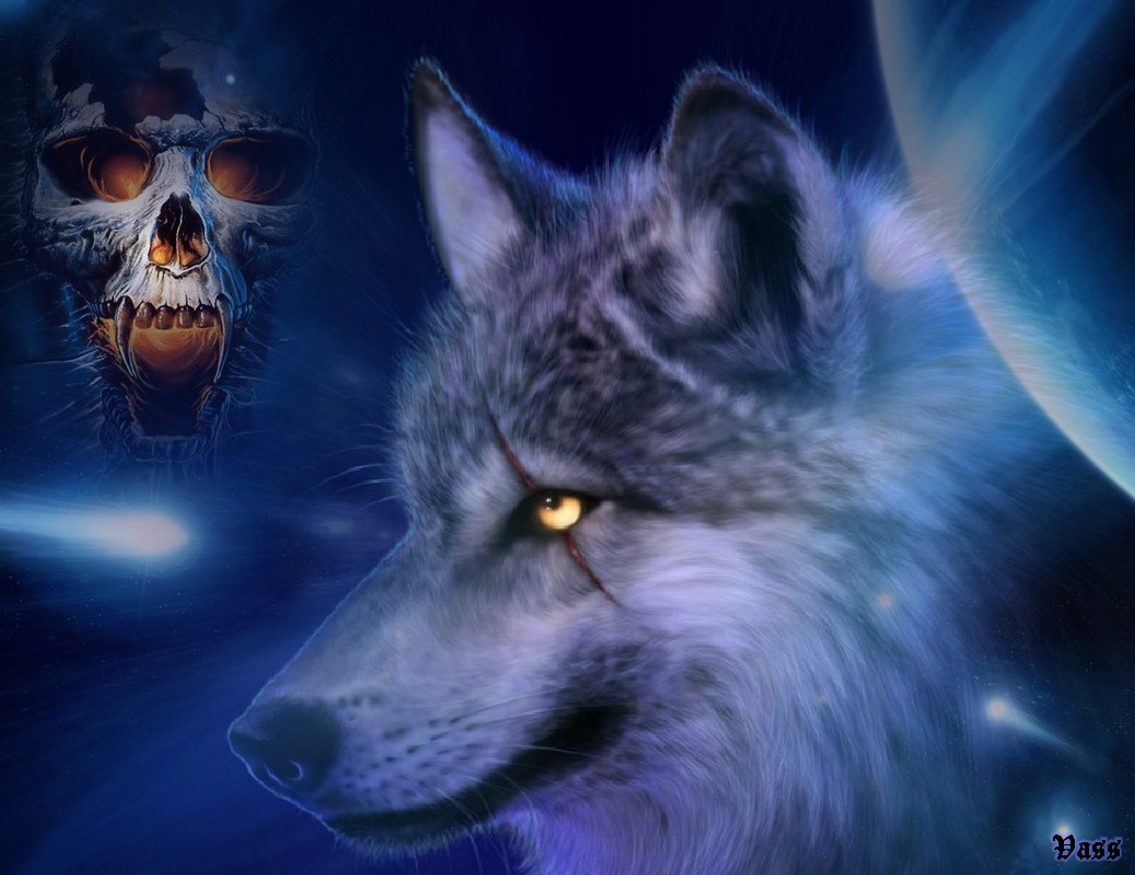 Wolf wallpaper 9 Wolf wallpaper 9