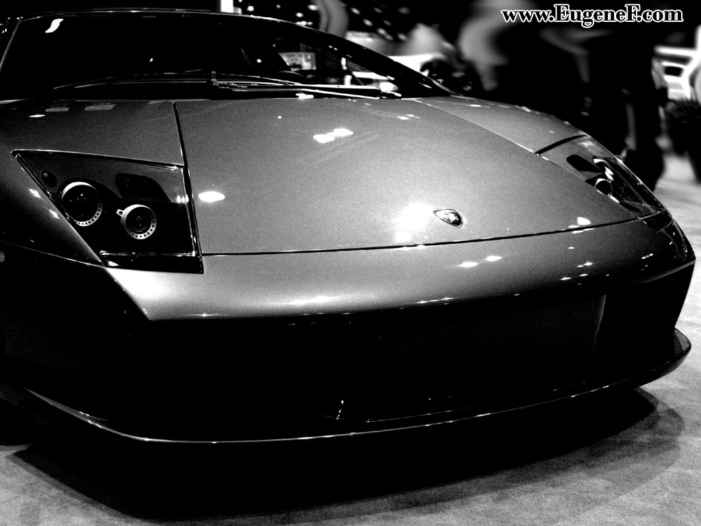 Auto show chicago 10