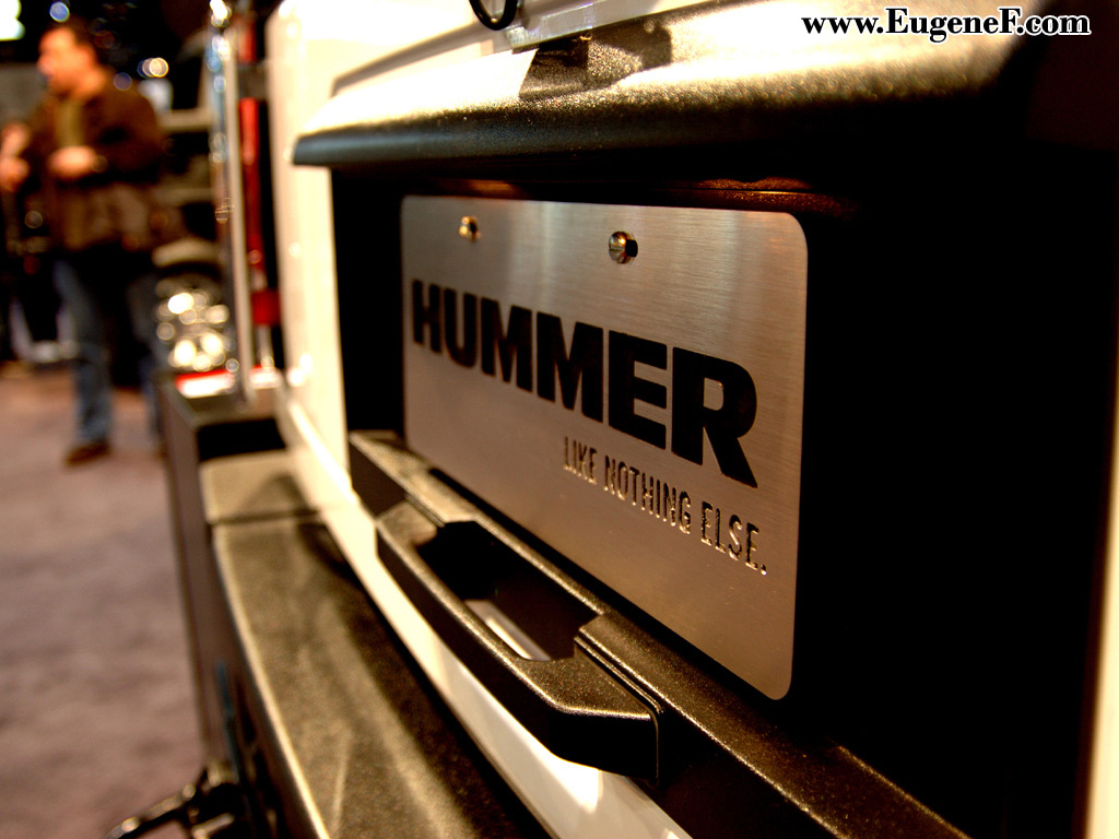 Auto show chicago 15