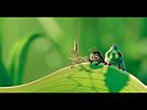A bugs life 4