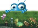 A bugs life 7