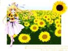 Anime 169