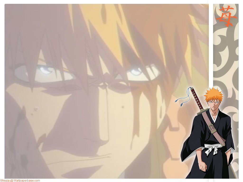 Bleach 4