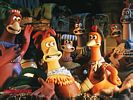 Chicken run 3