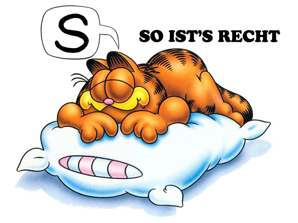 Garfield 5