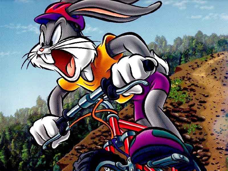 Looney tunes 35