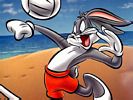 Looney tunes 33