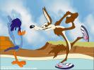 Looney tunes 44