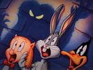 Looney tunes 8