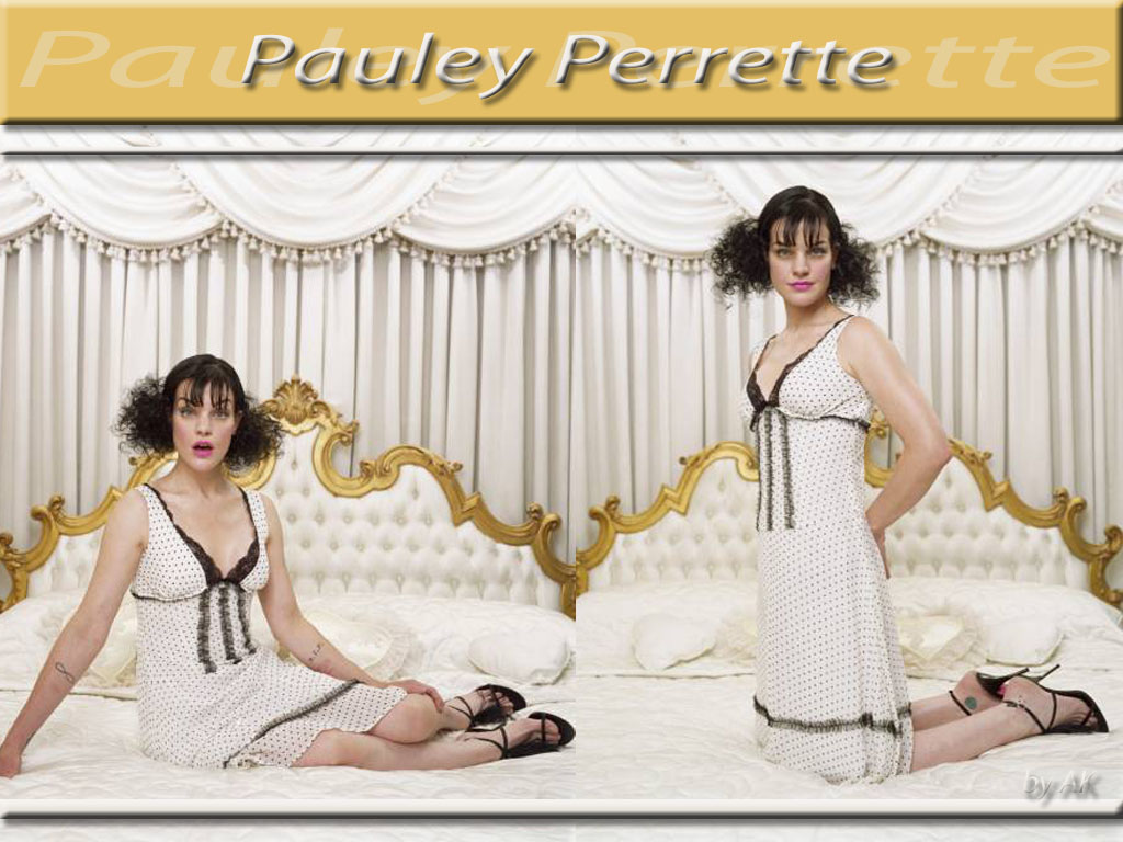 Pauley perrette 3