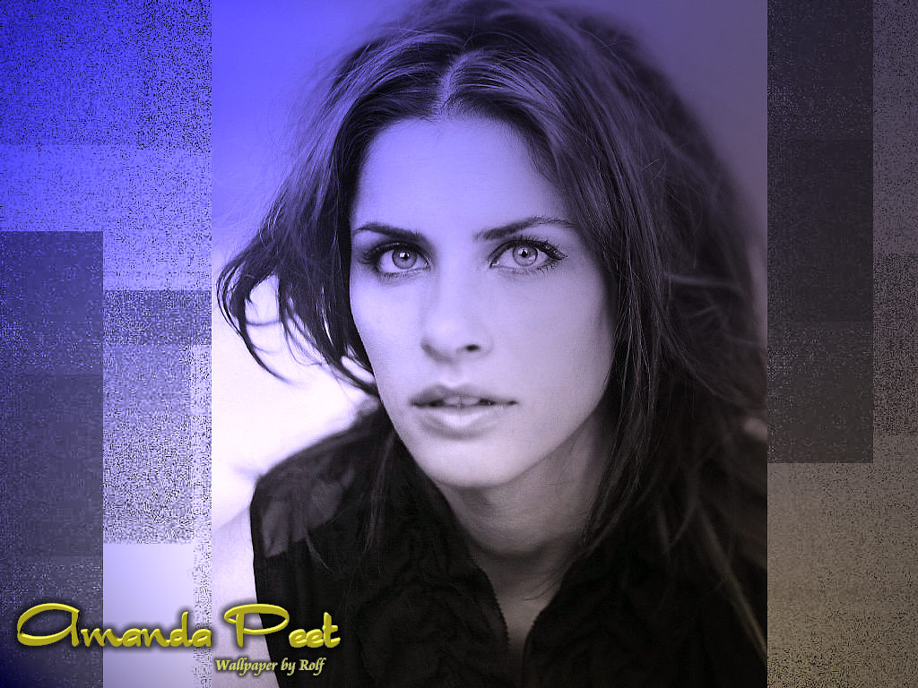 Amanda Peet - Photo Actress
