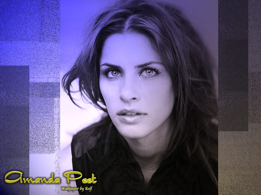 download amanda peet wallpaper, 