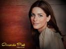 Amanda peet 1