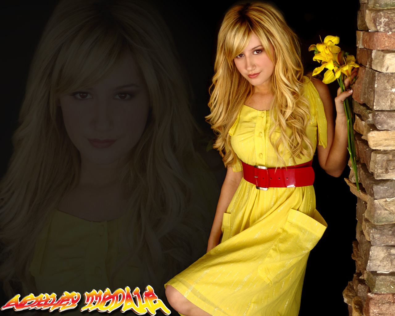 download ashley tisdale wallpaper, 