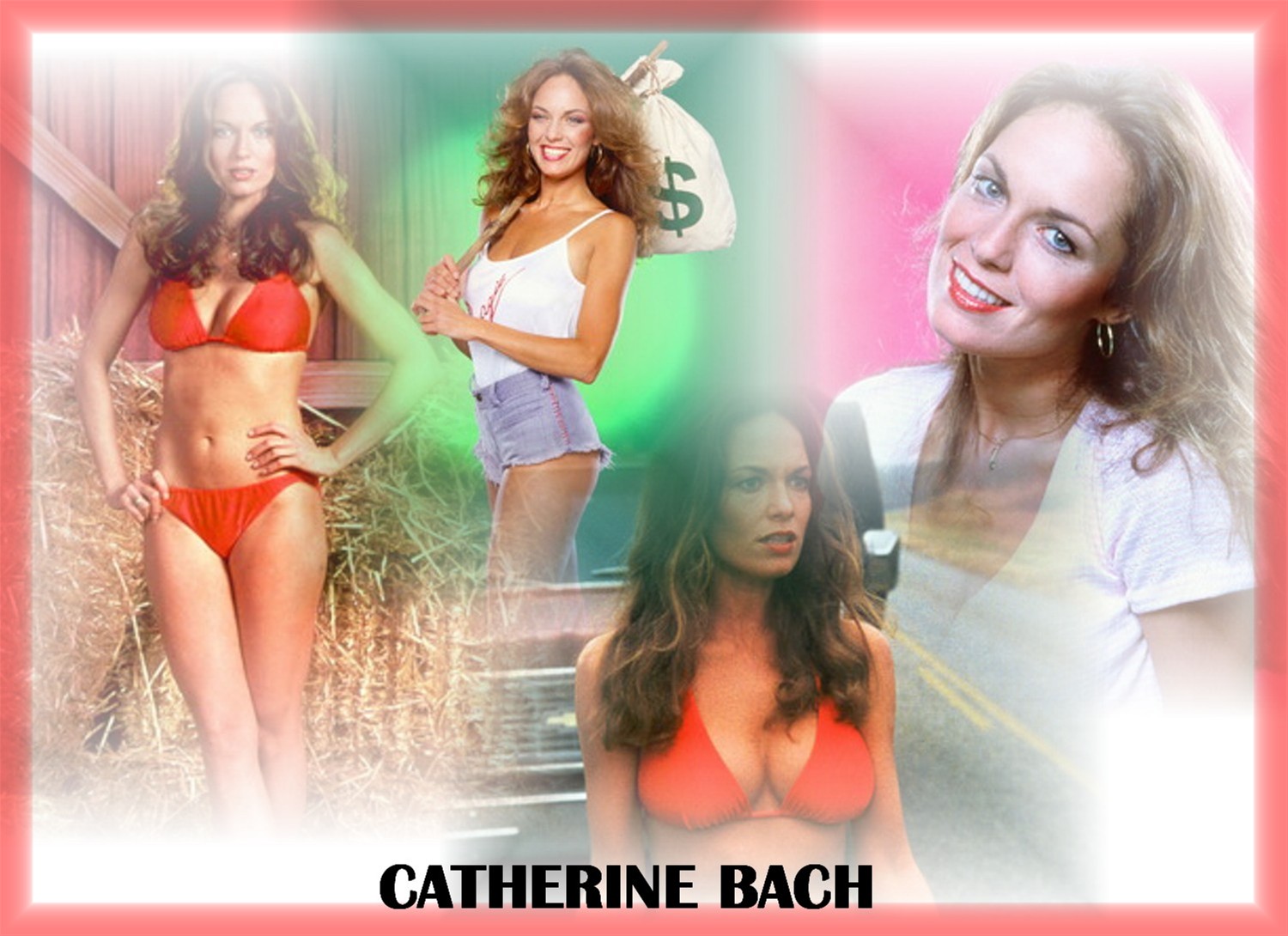 catherine_bach_1.jpg