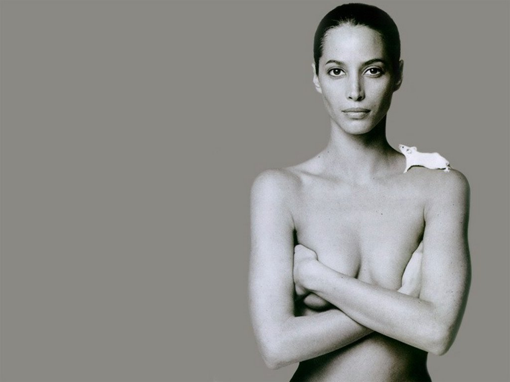 Christy turlington 12