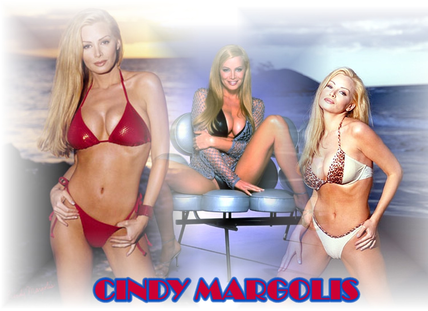 Cindy Margolis - Gallery Colection