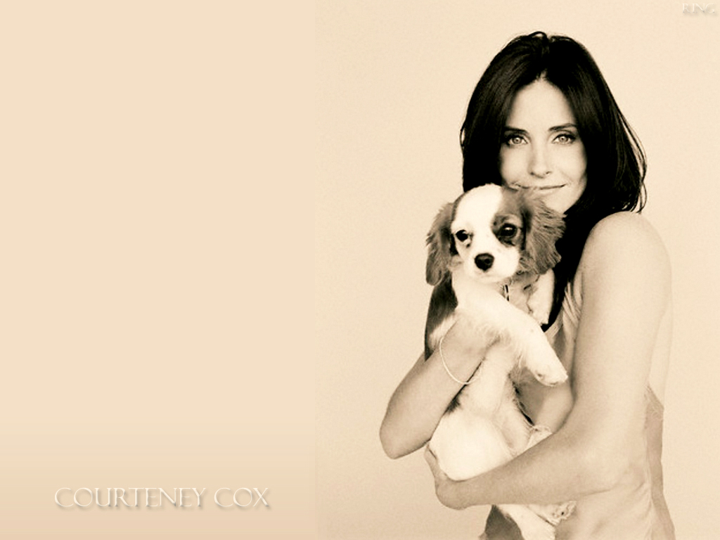 Courteney cox 6