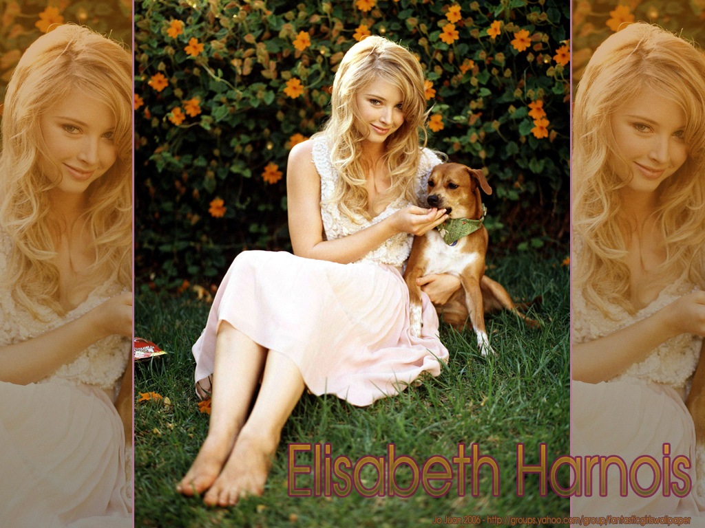 Elisabeth harnois 3