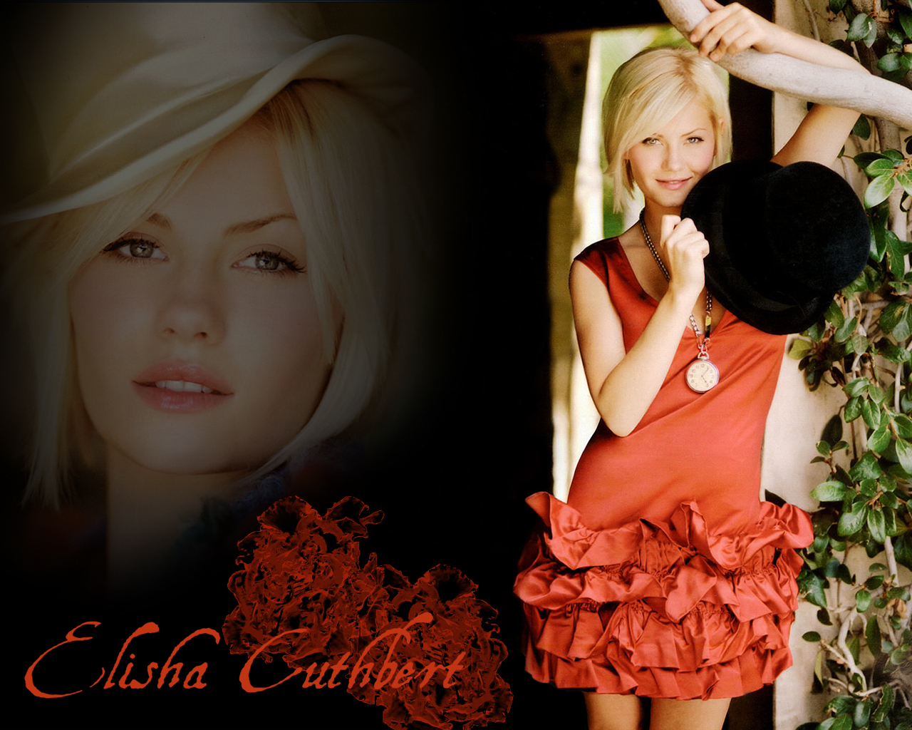 Elisha cuthbert 100