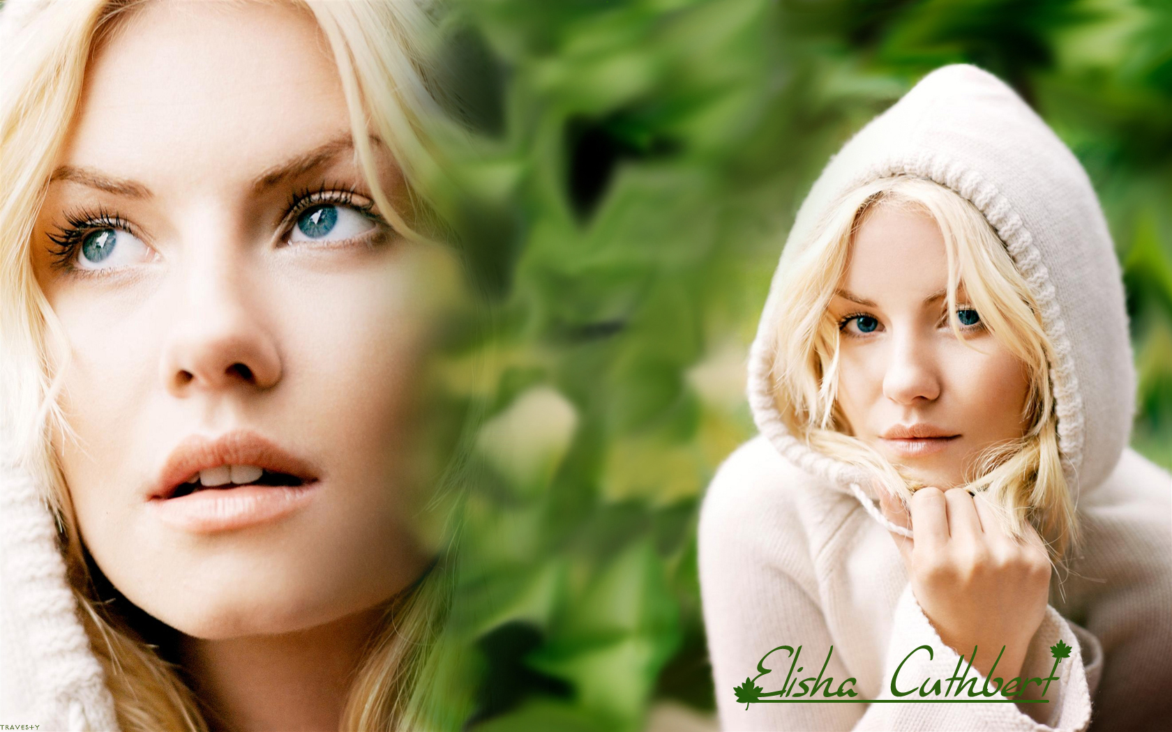 Elisha cuthbert 103