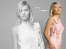 Elisha cuthbert 39