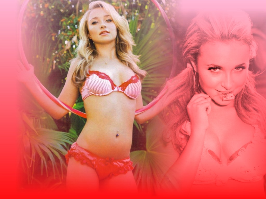 hayden panettiere backgrounds