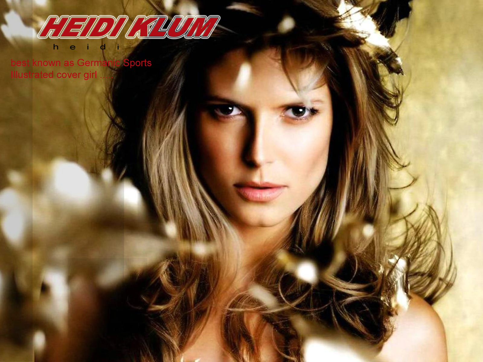heidi klum wallpaper