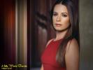 Holly marie combs 1