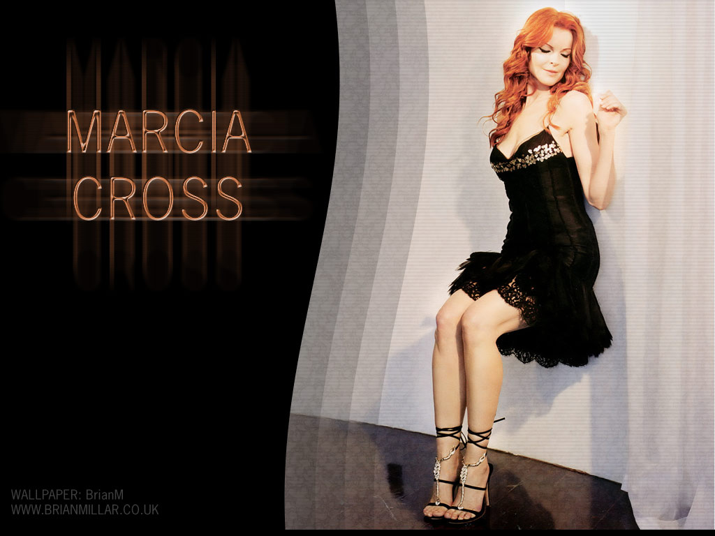 download marcia cross wallpaper, 