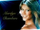 Marilyn chambers 1