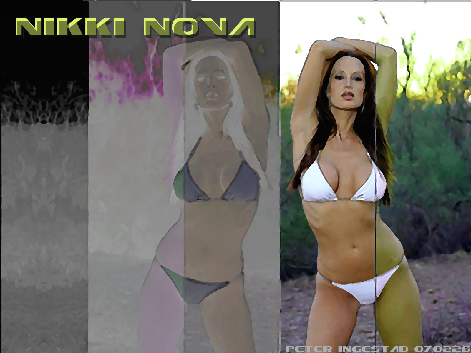 Nikki nova wallpaper 10