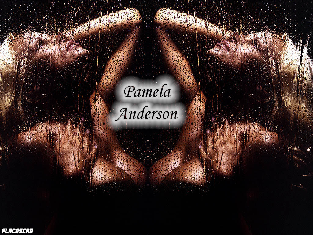 Pamela anderson 25