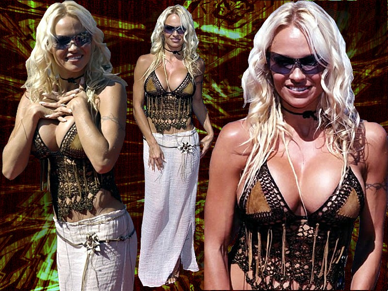 Pamela anderson 70