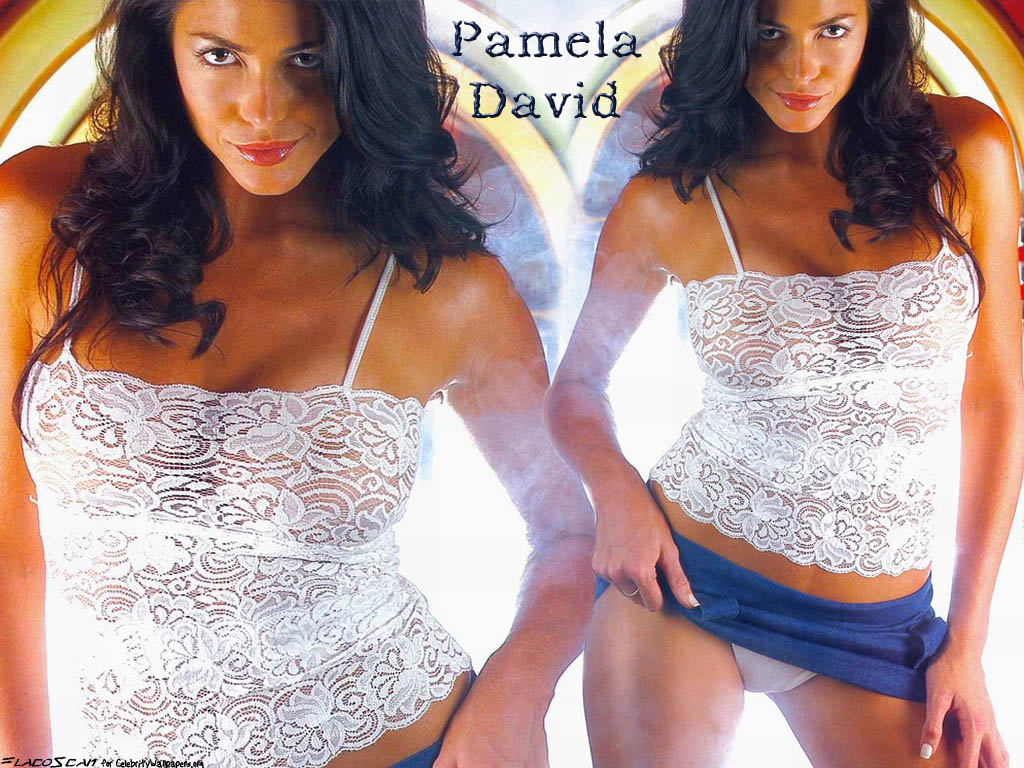 Pamela david 4