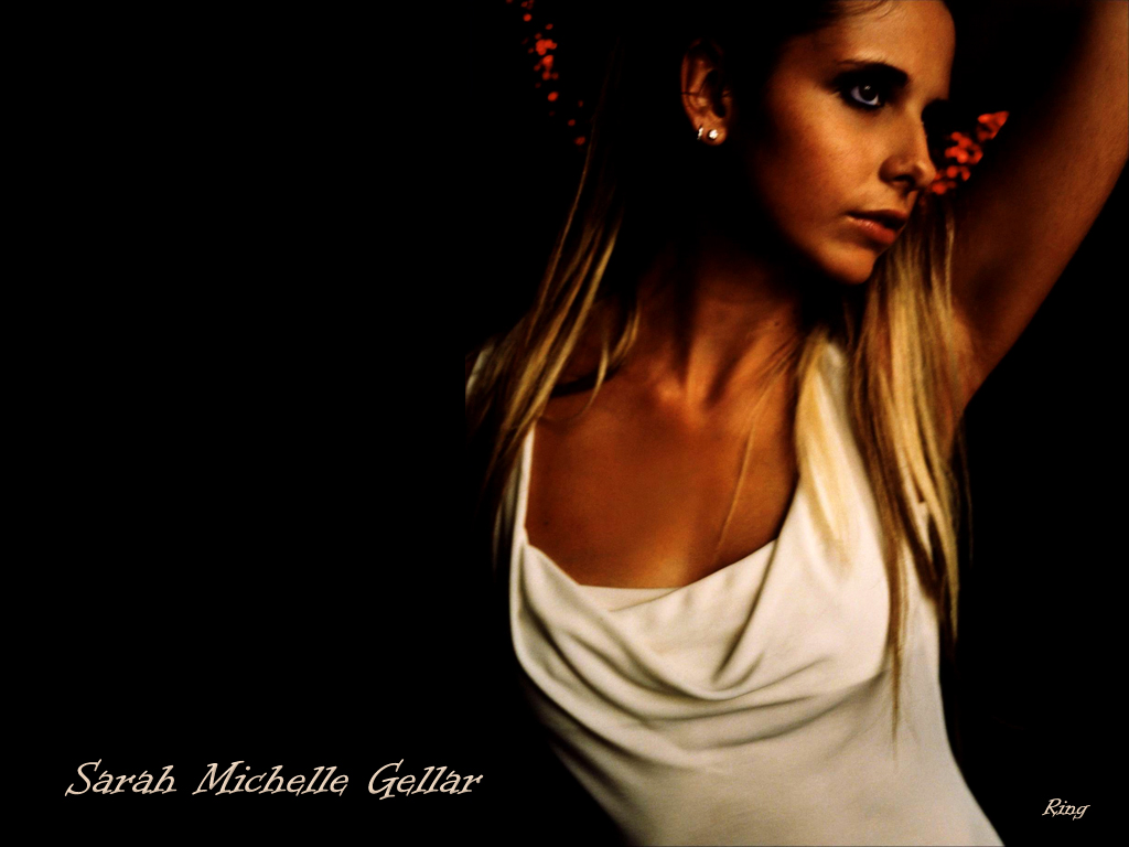You are viewing the Sarah Michelle Gellar wallpaper named Sarah michelle 