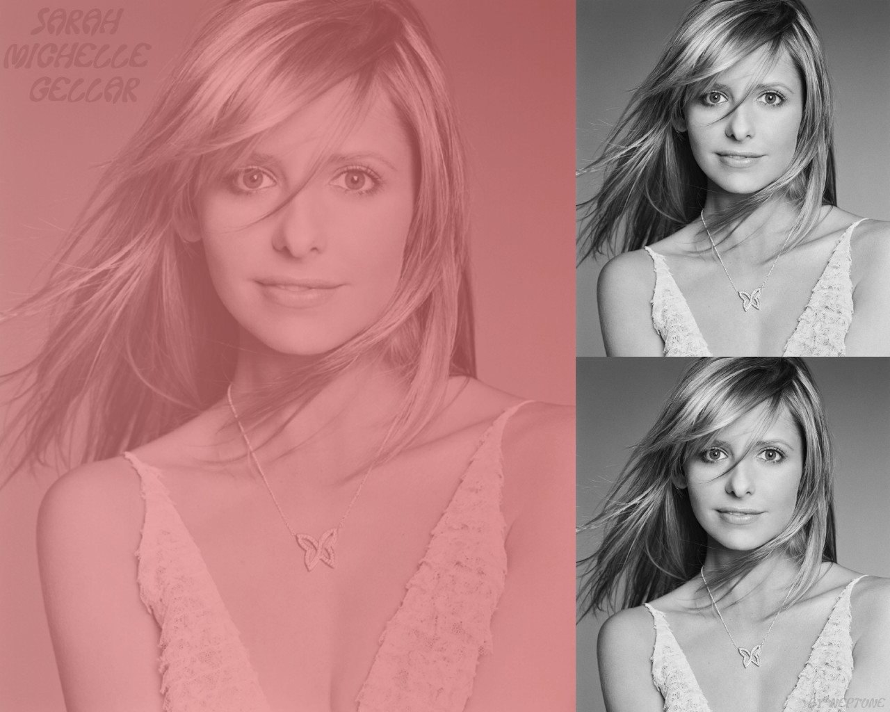 Sarah michelle gellar 58