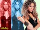 Shakira 64