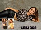 Shania twain 12