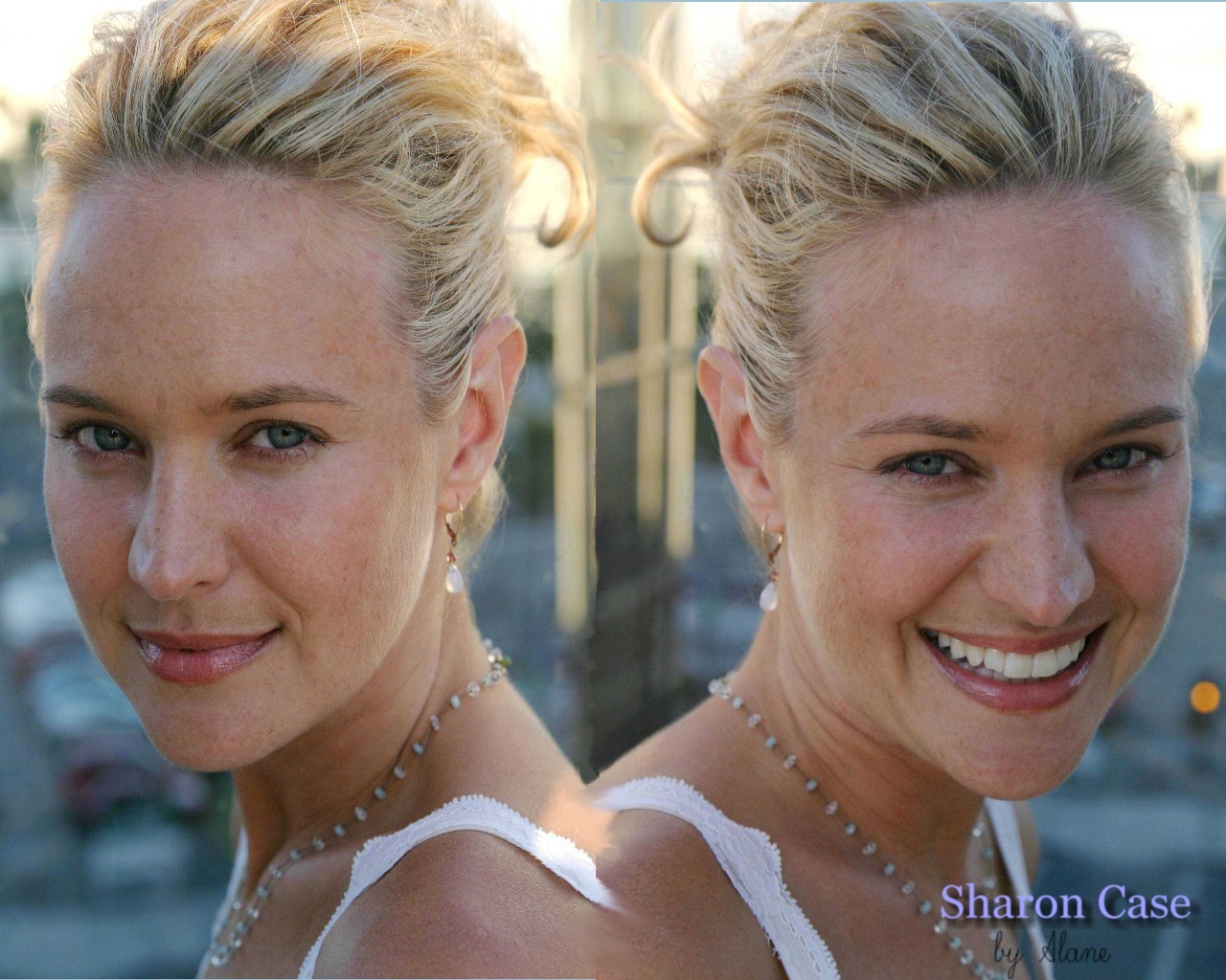 Sharon case 2