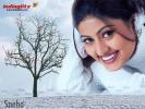 Sneha 1