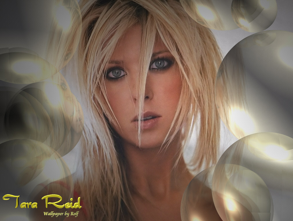 Tara ReidWallpaper - Wallpaper